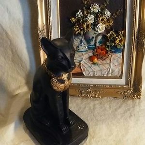 middle Eastern cat